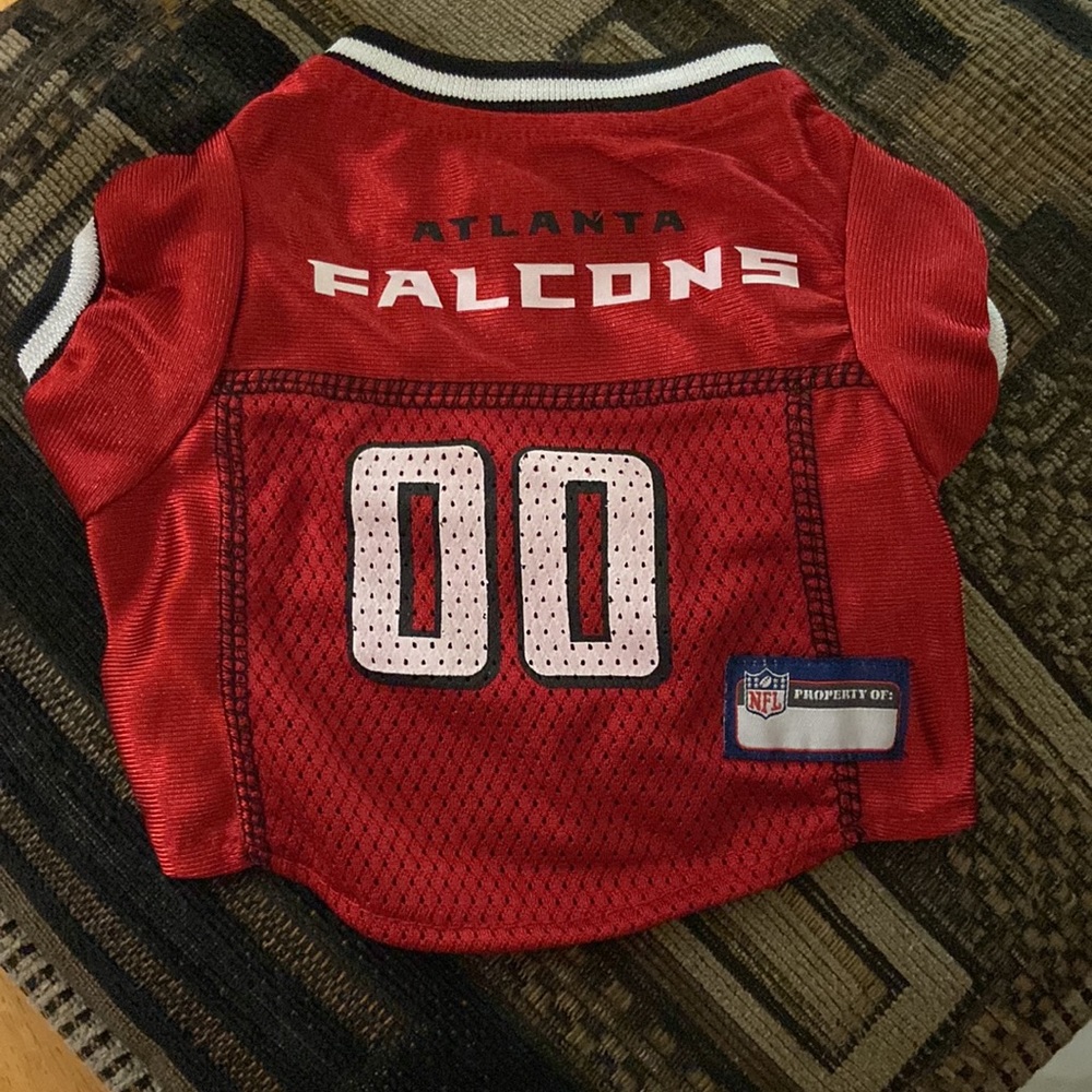 Falcons Pup